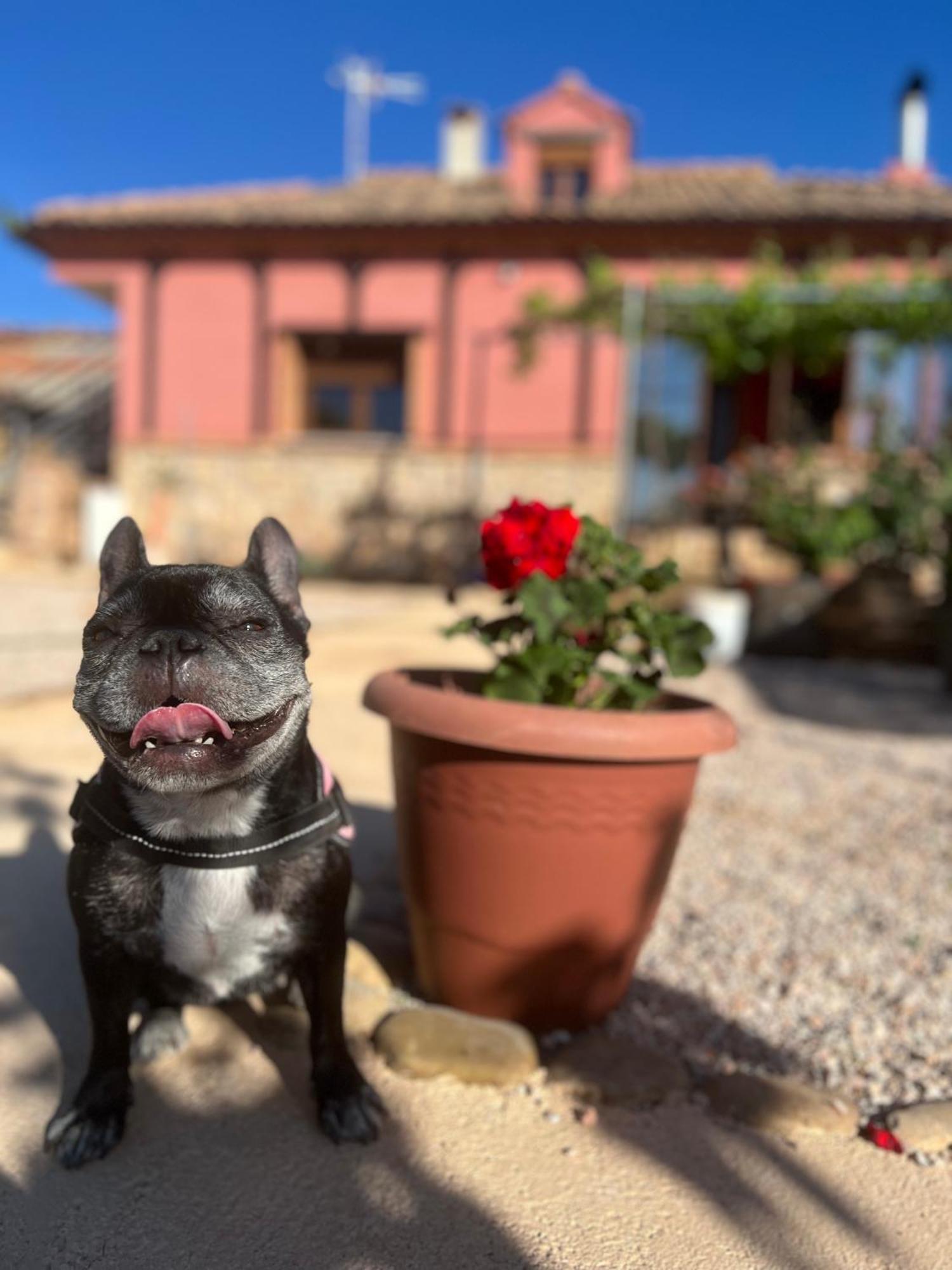 Villa Tranquila Lagunas De Ruidera Ossa de Montiel Kültér fotó